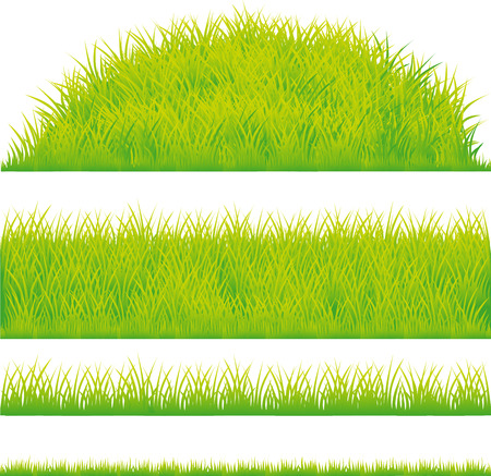 green grass design element - vector illustrationのイラスト素材