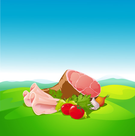natural food - ham and vegetable on natural backgroundのイラスト素材