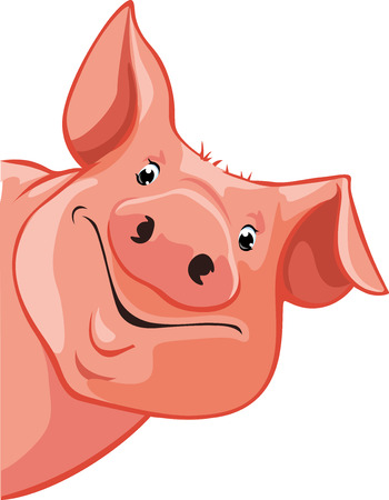 pig peeking out from the left - vector illustrationのイラスト素材