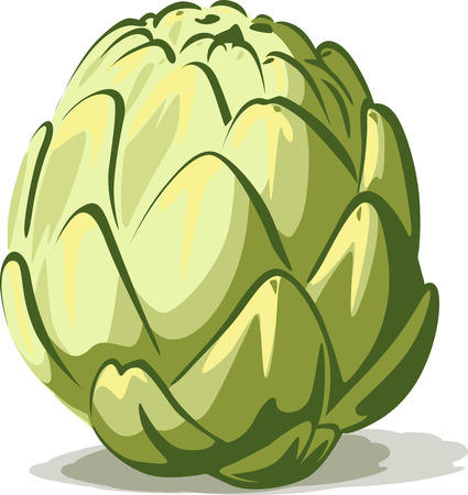 green artichoke isolated on white backgroundのイラスト素材