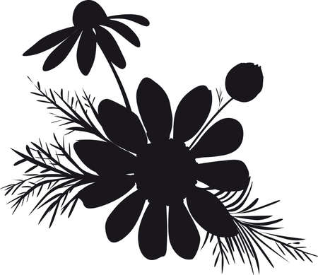 Chamomile Silhoulette Illustration on White Backgroundのイラスト素材