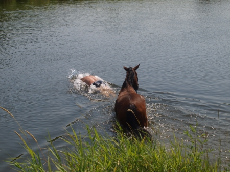 man and horse while bathing in the river Thayaの写真素材