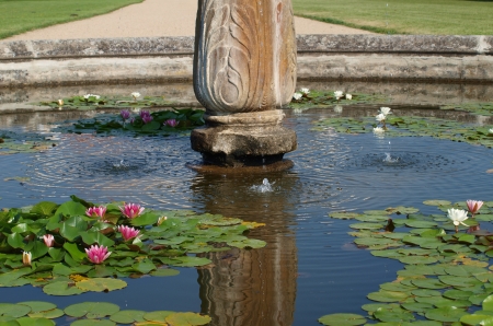 water blooms in the castle garden. South Moraviaの写真素材