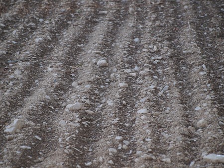 sown fields , southern Bohemia   Czech Republicの写真素材