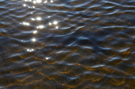 water level of the pond. South Bohemiaの写真素材