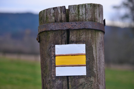 tourist signposting on the bark of a tree. South Bohemiaの写真素材