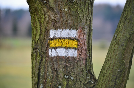tourist signposting on the bark of a tree. South Bohemiaの写真素材