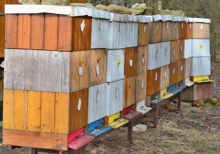 traditional rural beekeeping, South Bohemia, Czech Republic