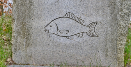 Picture of fish, carved in stone, southern Bohemia, Czech Republicの写真素材