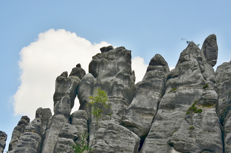 rock formations, Adrspach-Teplice National Nature Reserve, Czech Republicのeditorial素材