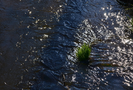 water level of the lake. South Bohemia, Czech Republic