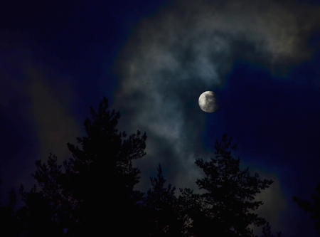 full moon over the forest, South Bohemia, Czech Republicの写真素材