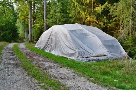 bark beetle-infected trees, timber ready for transport, South Bohemia, Czech Republicの写真素材