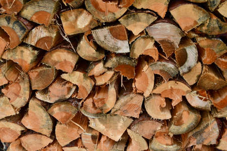 view of traditional storage timber, southern Bohemia, Czech Republic