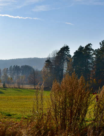 view of autumn landscape, southern Bohemia, Czech Republicの写真素材