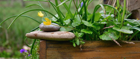 stone pebbles placed on wooden boxes among spring plants, South Bohemia, Czech Republic