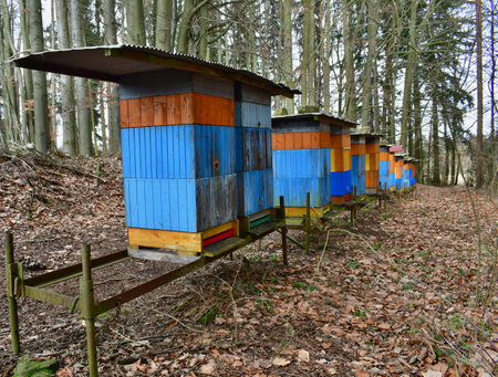traditional rural beekeeping, South Bohemia, Czech Republic