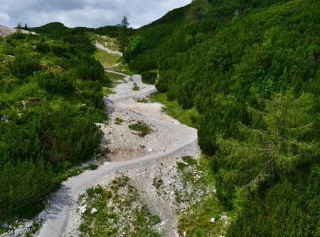 bike park route, Triglav National Park, Vogel massif, Slovenia