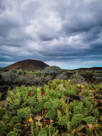 Cerro de Rasca Malpais de La Rasca Tenerife Canary Islandの写真素材