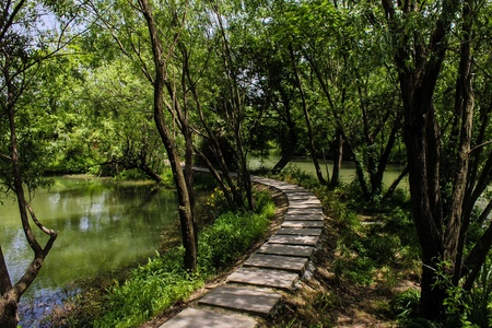 Hangzhou xixi wetland landscape