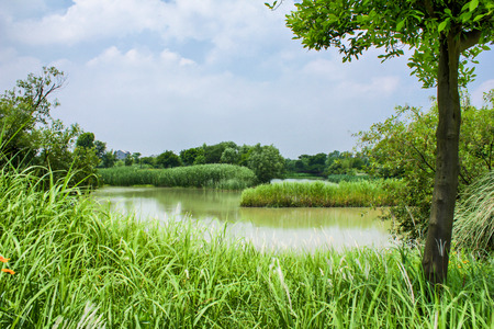 Hangzhou xixi wetland landscapeの写真素材