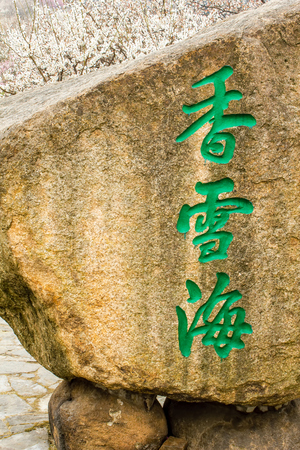 Suzhou fragrant snow sceneryのeditorial素材