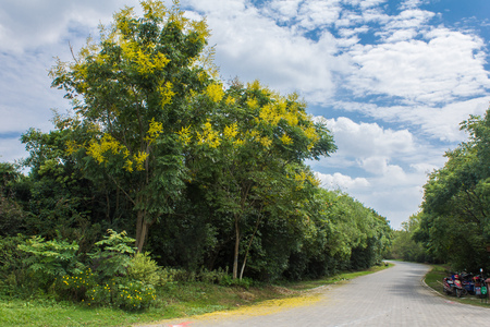 Fengxian Shanghai Bay National Forest Parkの写真素材