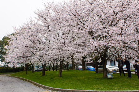 Wuxi Turtle Head Islet sceneryのeditorial素材