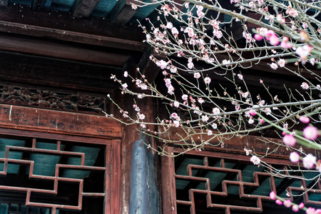 Nanjing Niushou Mountain Zheng tombのeditorial素材