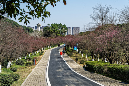 Hangzhou mountain scenery