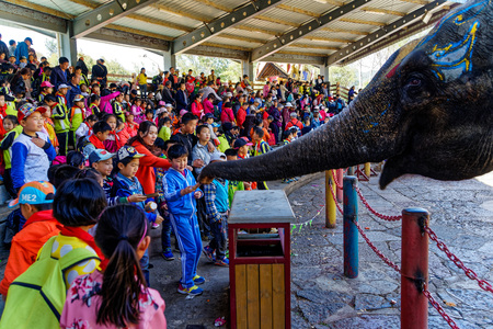 Kunming National Village elephant showのeditorial素材