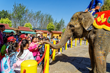 Kunming National Village elephant showのeditorial素材