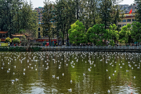 Yunnan Kunming Green Lake park sceneryのeditorial素材