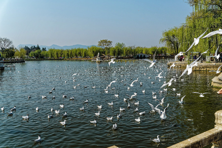 Kunming Daguanlou Park, Yunnanのeditorial素材