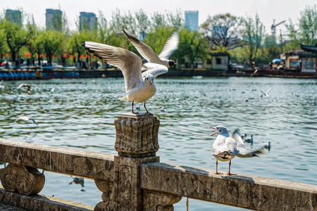 Kunming Grand View Park, Yunnanのeditorial素材