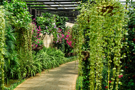 Kunming World Horticultural Exposition Gardenのeditorial素材