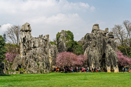 Yunnan Kunming Stone Forest sceneryのeditorial素材