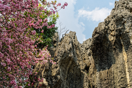 Yunnan Kunming Stone Forest sceneryの写真素材