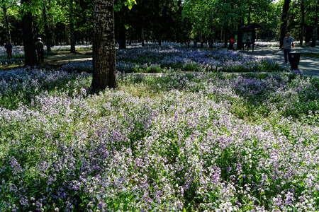Beijing Tiantan Parkのeditorial素材