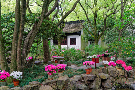 Songjiang Shanghai drunk white pool park sceneryのeditorial素材