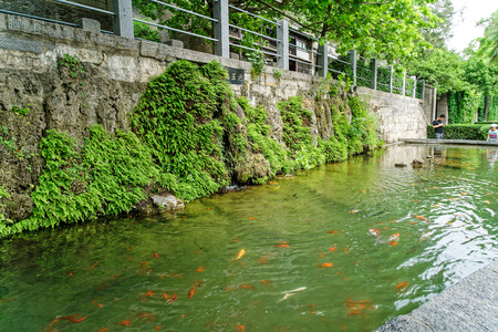 Longmen Grottoes at Luoyang, Henan.のeditorial素材