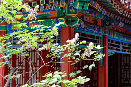 The Imperial Palace in Beijingのeditorial素材