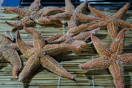 Qingdao seafood