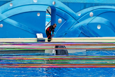 Shanghai Haichang Ocean Park Killer Whale Show