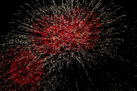 firework on black background, vector illustration, eps10.の写真素材