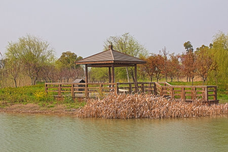 Scenery of Taihu Wetland Park in Suzhou, Jiangsuの写真素材