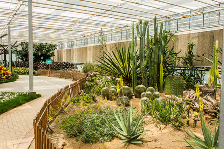 Shanghai Flower Port Sceneryの写真素材