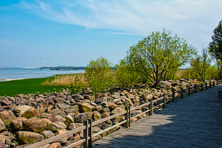 Shanghai Baoshan Paotaiwan Wetland Park sceneryの写真素材