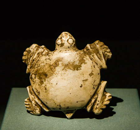 Ancient fossil of a frog on a blue background. Close up.の写真素材