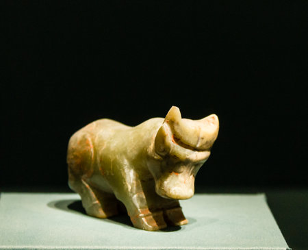 Ancient fossil of a rhino on a blue background. Close up.の写真素材